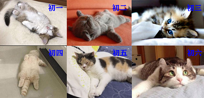 不动不动.jpg