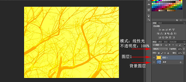 “线性光”模式.jpg