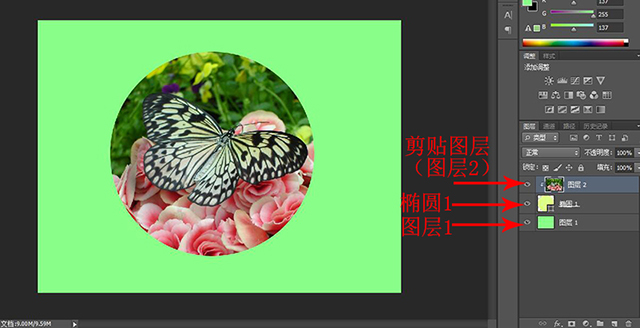 剪贴蒙版效果.jpg