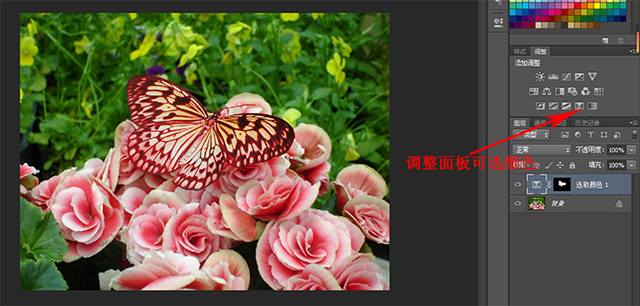 蝴蝶调色.jpg