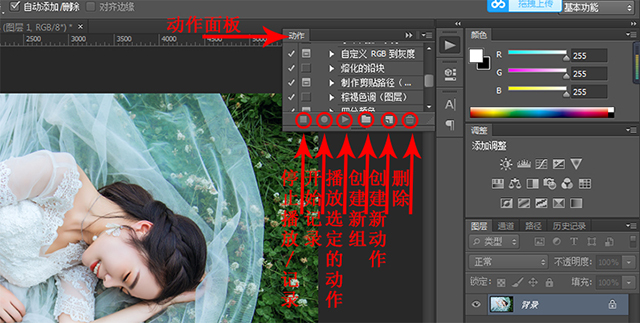 动作面板.jpg