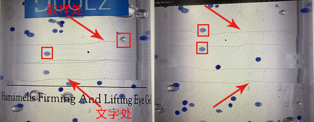 上移取样在完整蓝点以及泡泡的地方.jpg